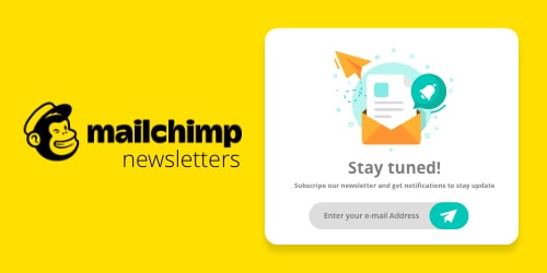Digital Online Assets Mailchimp Email Marketing Template