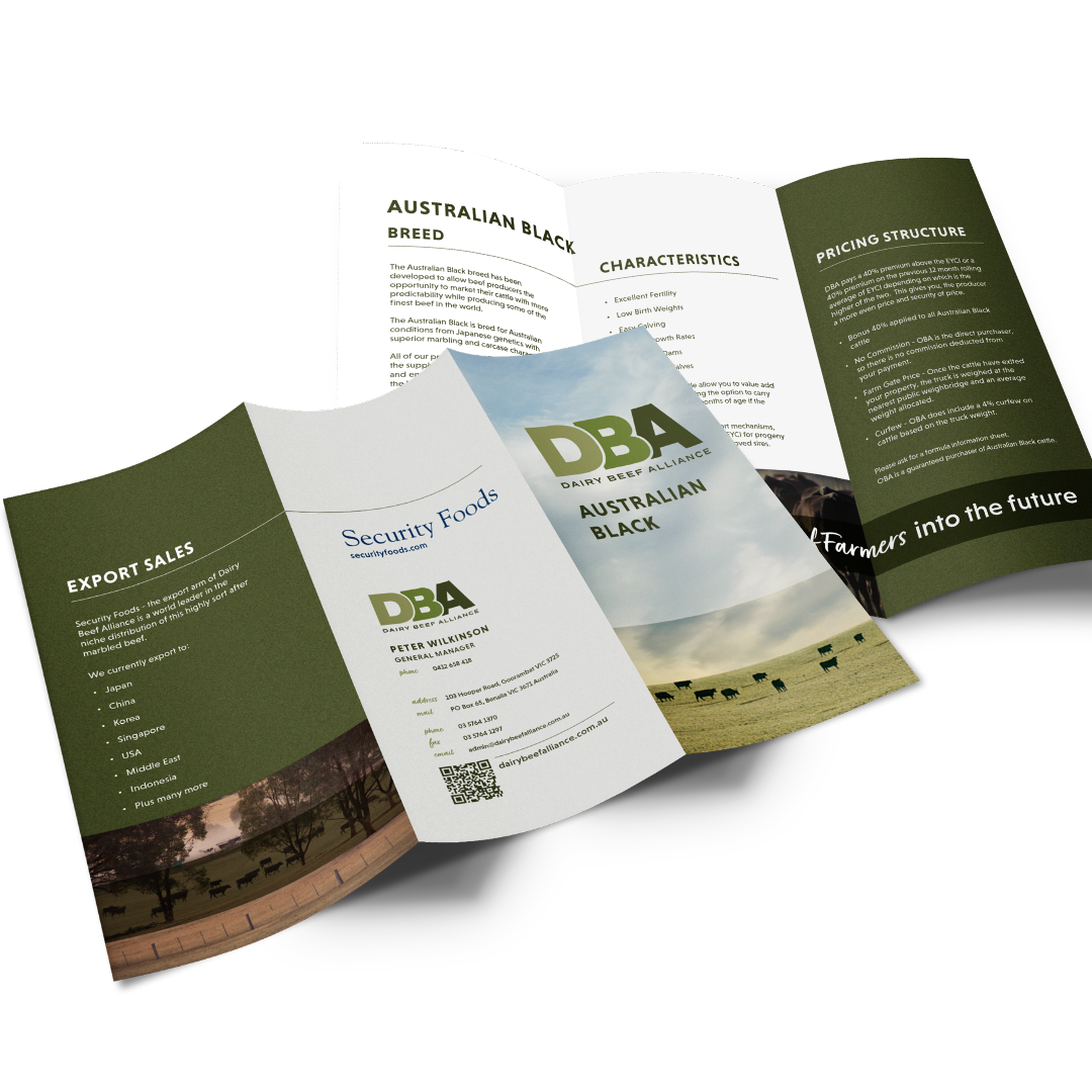 Dairy Beef Alliance - Brochure