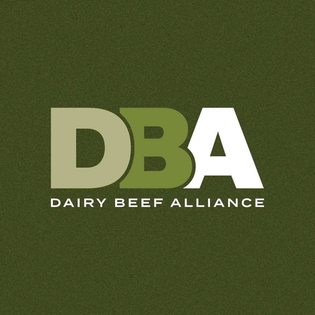 Dairy Beef Alliance - Logo